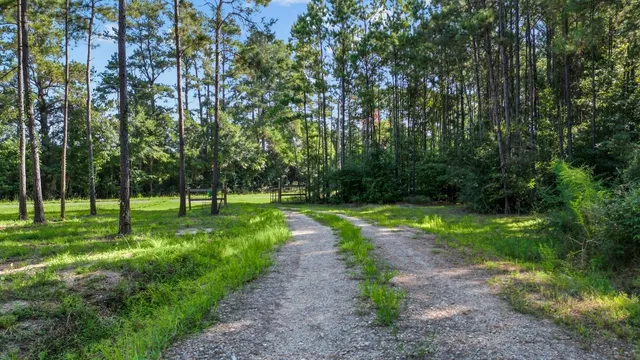 a view of a park with trees in the background