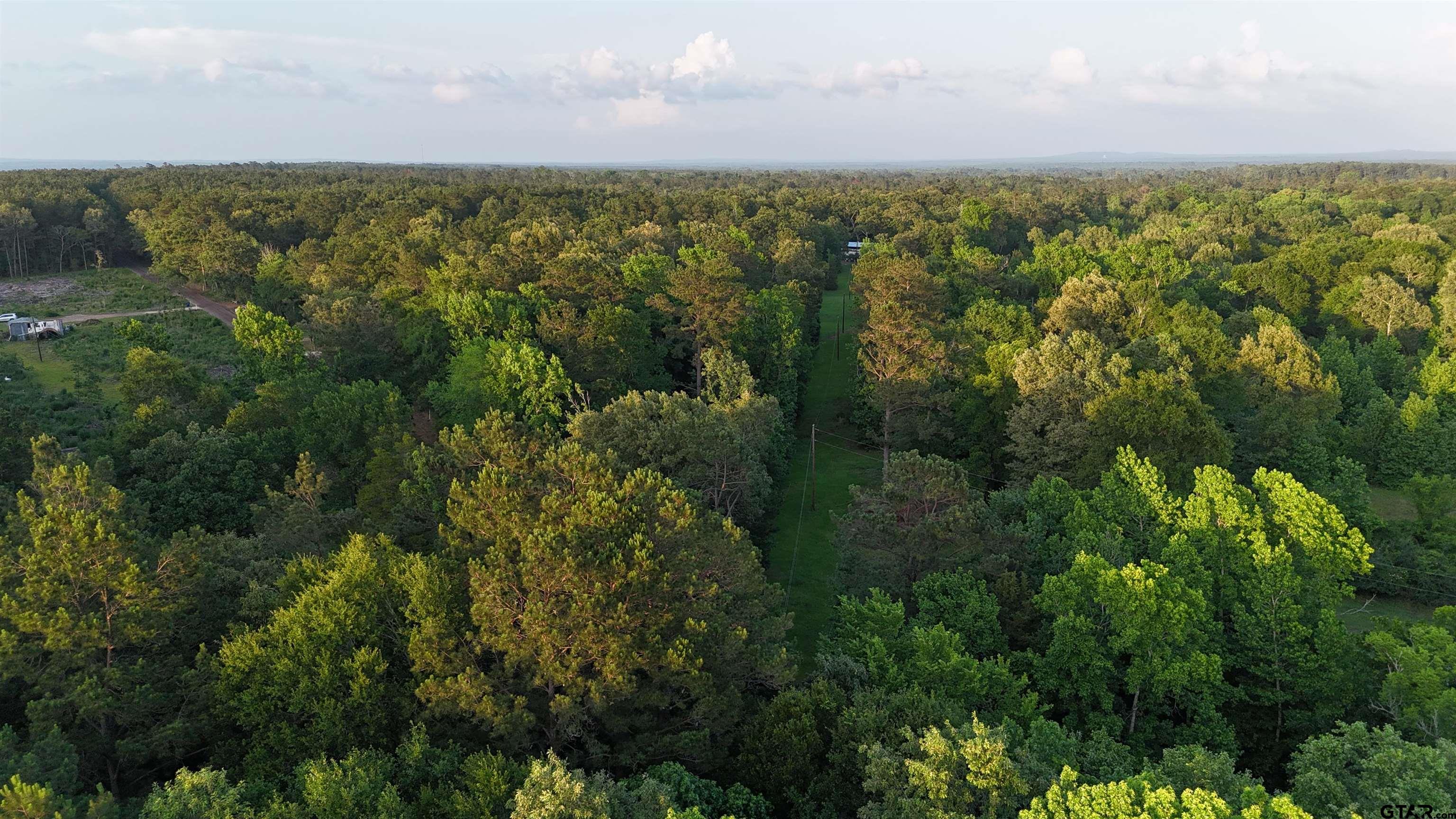 0 County Road 1204 Rusk, TX 75785 - Photo 16 of 32