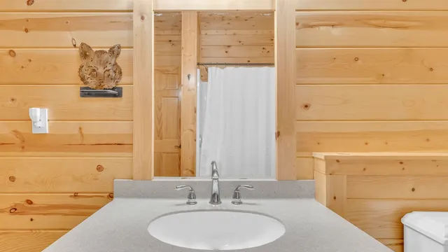 a view of a lake in a forest