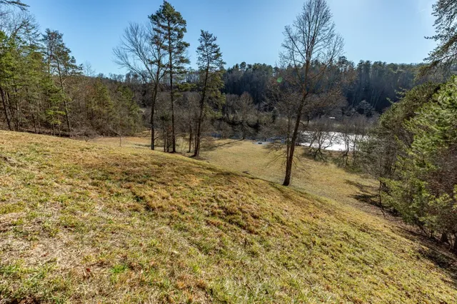 $3,200,000 | 661 North Toccoa River Road, Mineral Bluff, GA 30559