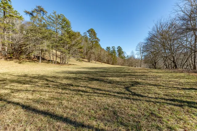$3,200,000 | 661 North Toccoa River Road, Mineral Bluff, GA 30559