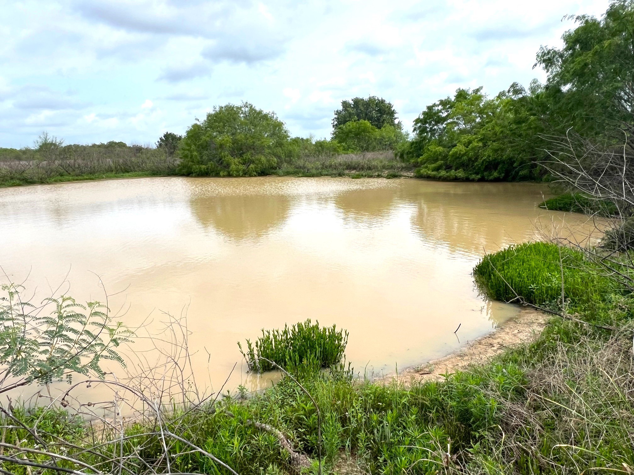 3798 Johnston Road Wallis, TX 77485 - Photo 8 of 38