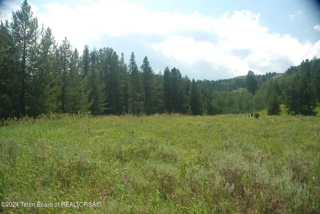 $1,100,000 | 8355 South Fall Creek Road, Wilson, WY 83014