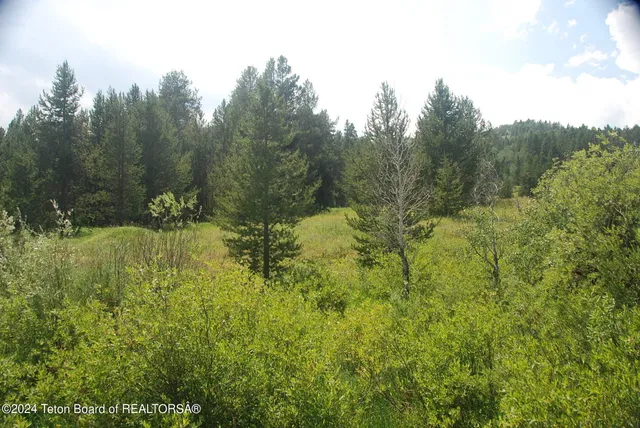$1,100,000 | 8355 South Fall Creek Road, Wilson, WY 83014