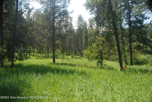 $1,100,000 | 8355 South Fall Creek Road, Wilson, WY 83014