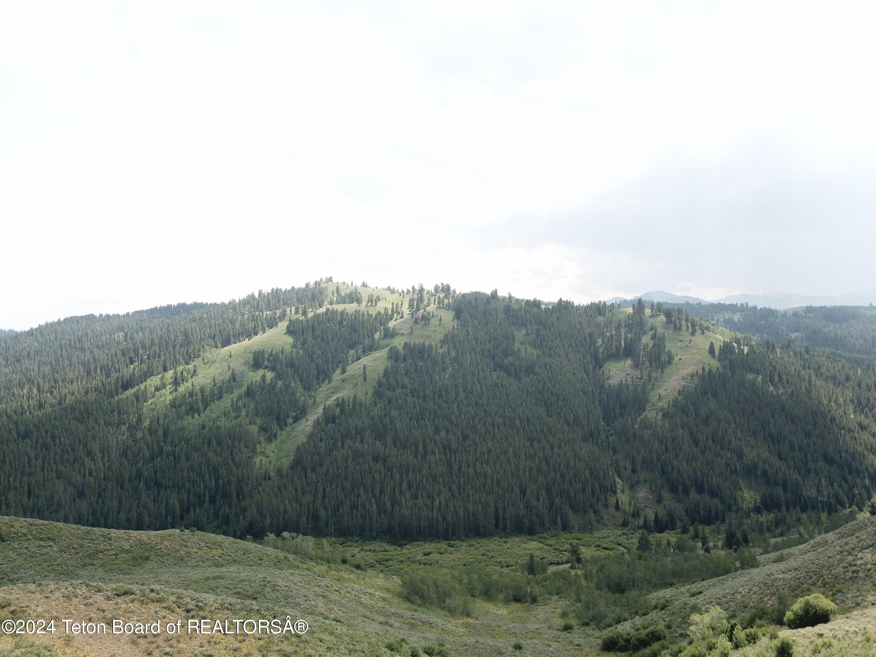 8355 South Fall Creek Road Wilson, WY 83014 - Photo 17 of 18 Aerial National Forest