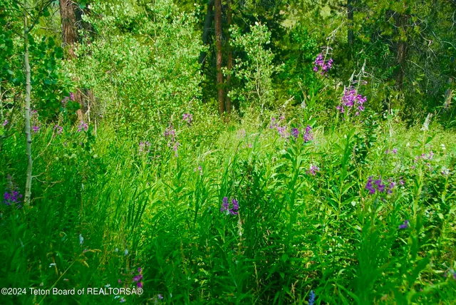 $1,100,000 | 8355 South Fall Creek Road, Wilson, WY 83014