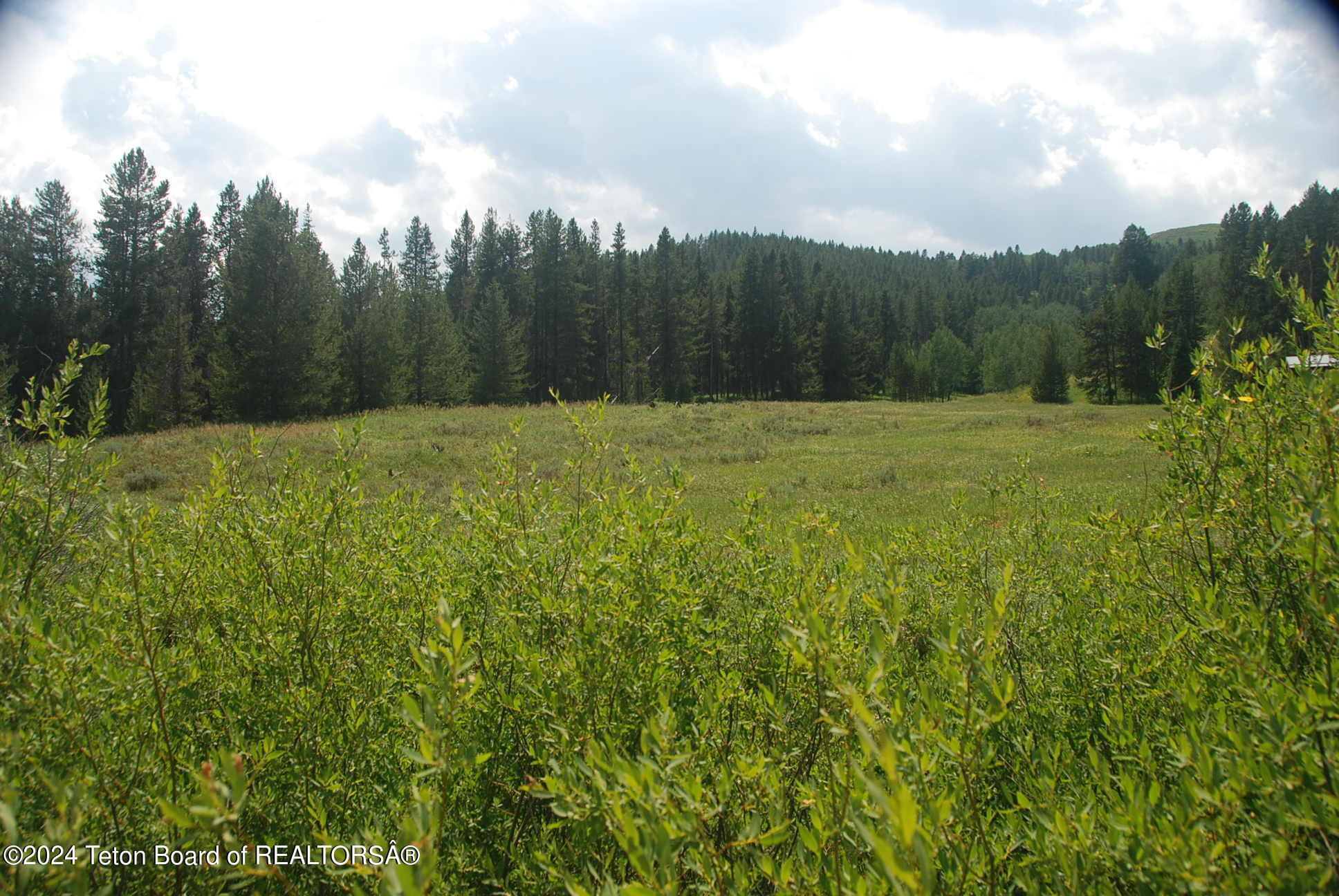 8355 South Fall Creek Road Wilson, WY 83014 - Photo 3 of 18 Prop #2