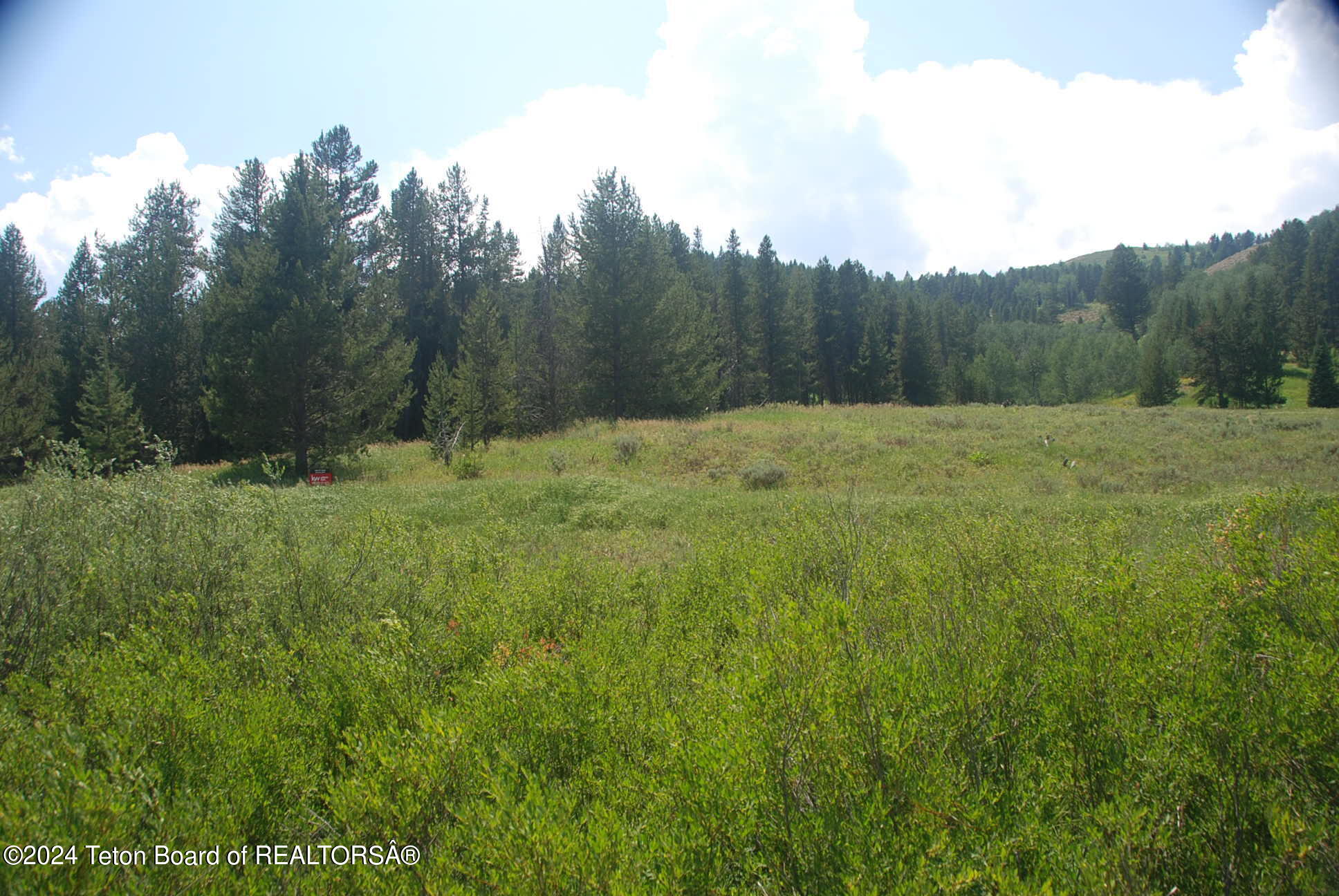 8355 South Fall Creek Road Wilson, WY 83014 - Photo 4 of 18 Prop #3