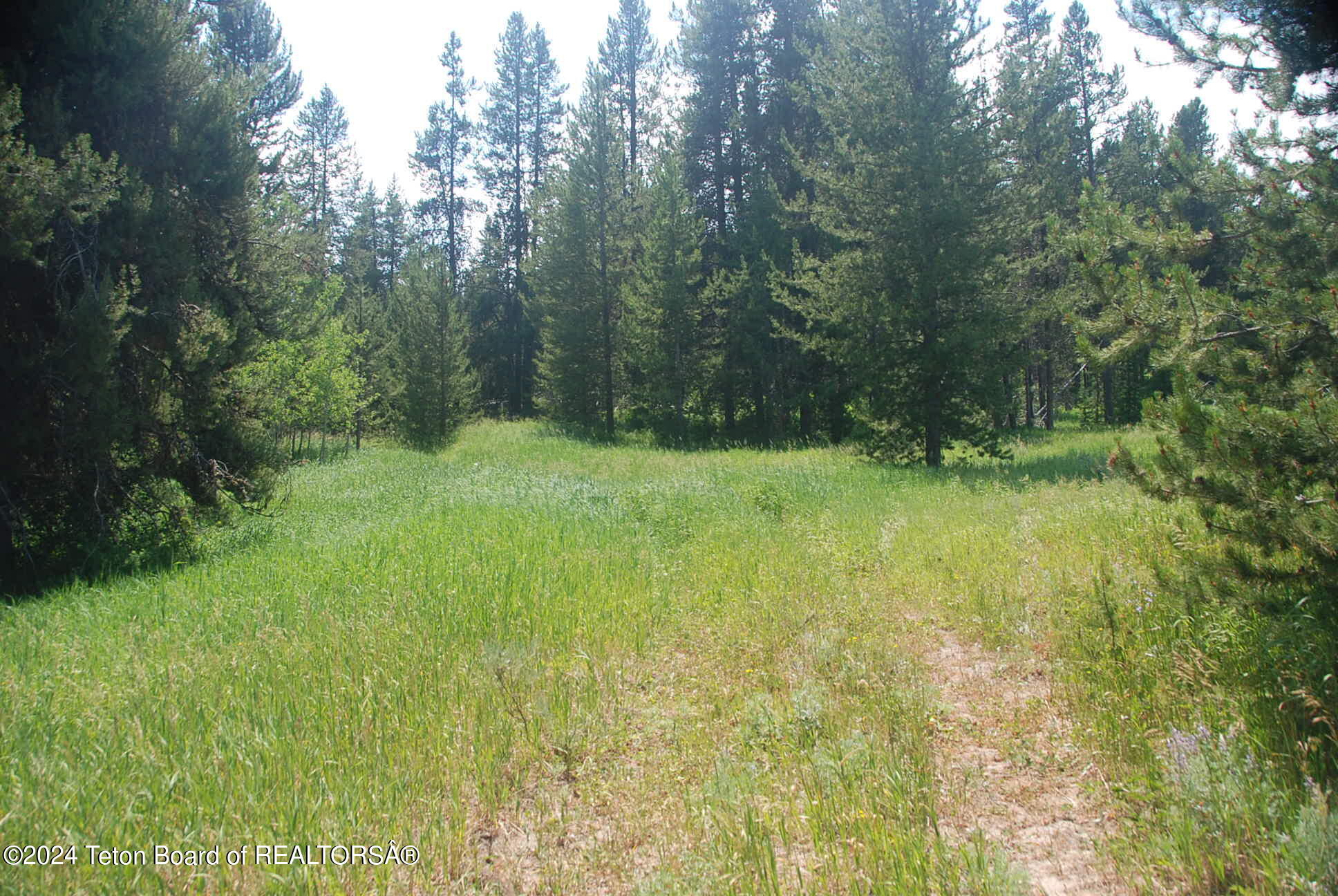 8355 South Fall Creek Road Wilson, WY 83014 - Photo 5 of 18 Prop #4JPG