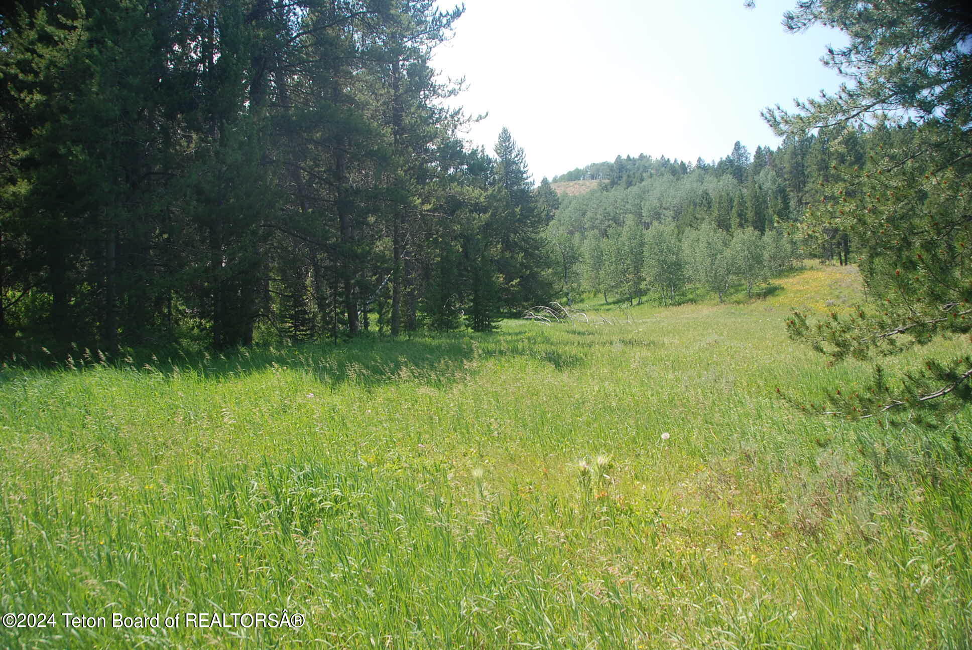 8355 South Fall Creek Road Wilson, WY 83014 - Photo 6 of 18 Prop #5