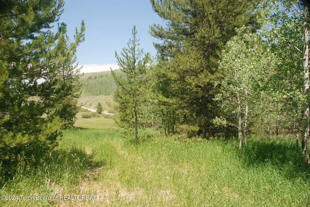$1,100,000 | 8355 South Fall Creek Road, Wilson, WY 83014