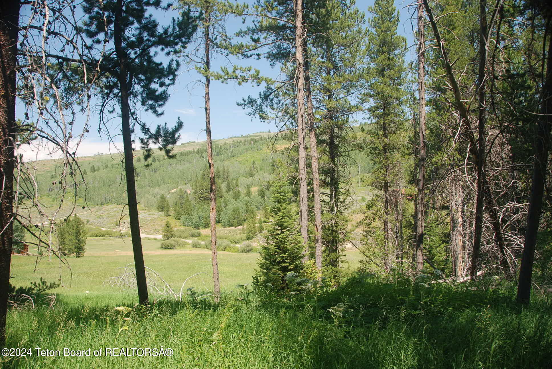 8355 South Fall Creek Road Wilson, WY 83014 - Photo 10 of 18 Prop #7