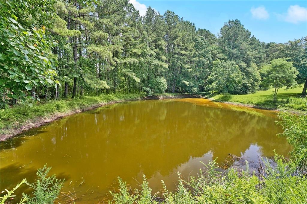 19632 Carol Morgan Road Franklinton, LA 70438 - Photo 20 of 25