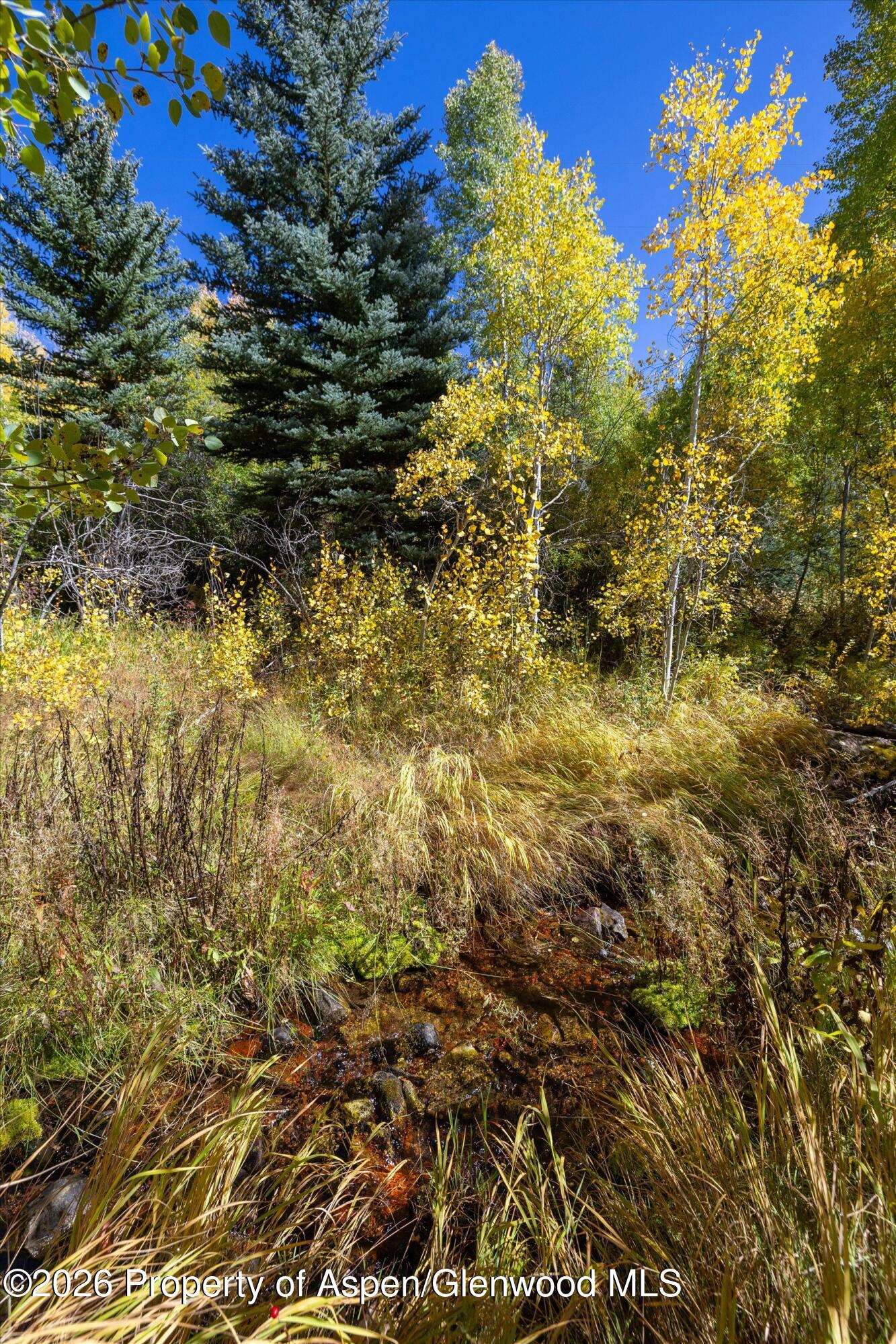 0 Frying Pan Road Basalt, CO 81621 - Photo 18 of 36 17-0FryingPanRoad_2509_0492