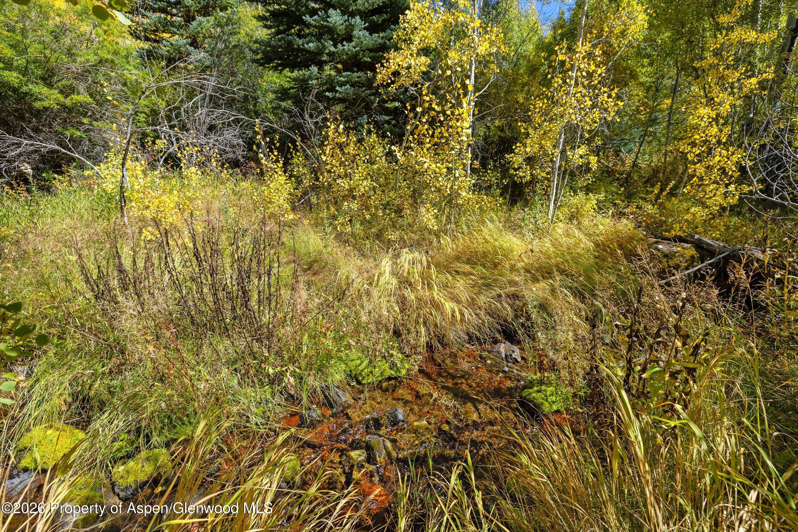 0 Frying Pan Road Basalt, CO 81621 - Photo 20 of 36 19-0FryingPanRoad_2509_0494