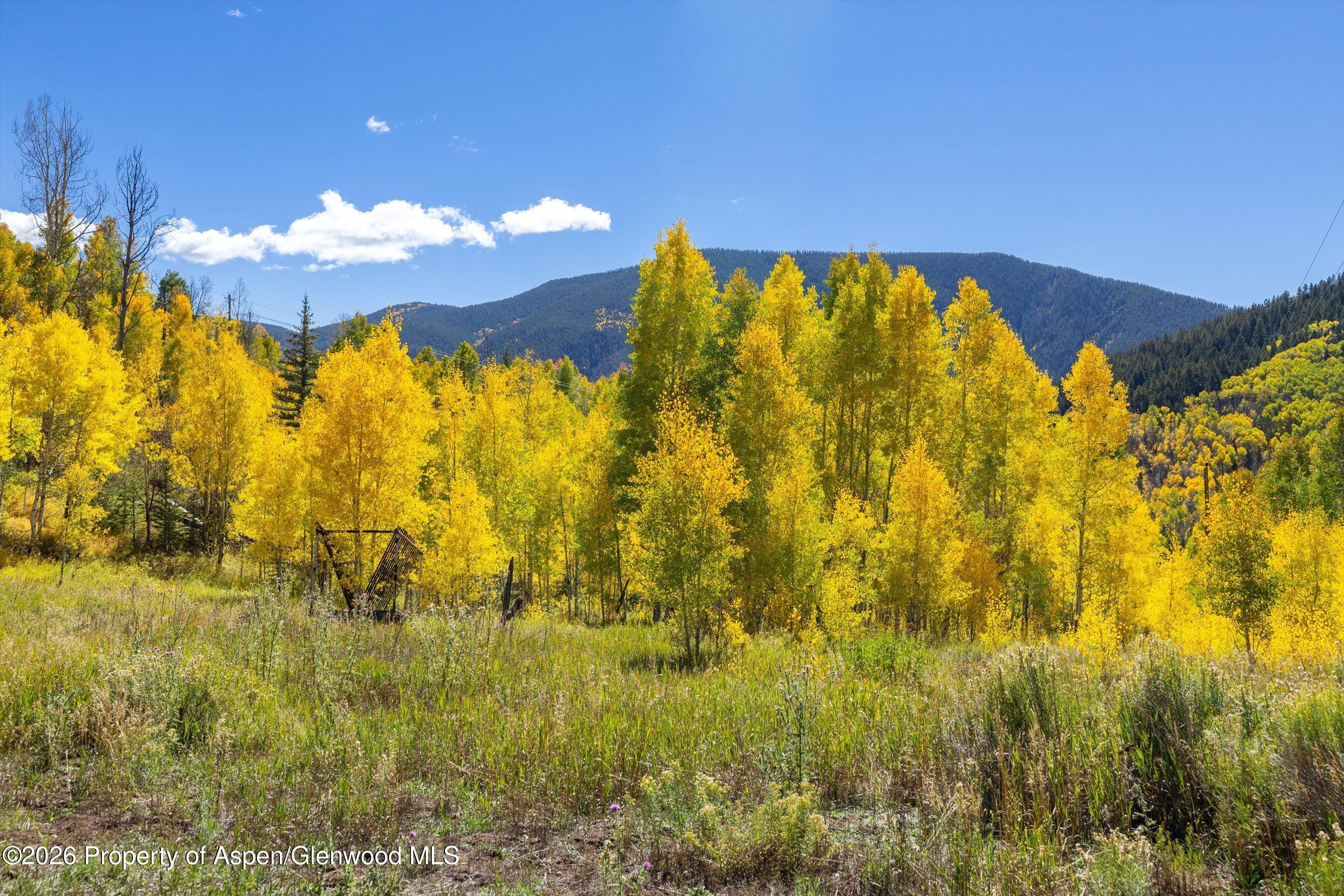 0 Frying Pan Road Basalt, CO 81621 - Photo 21 of 36 20-0FryingPanRoad_2509_0489