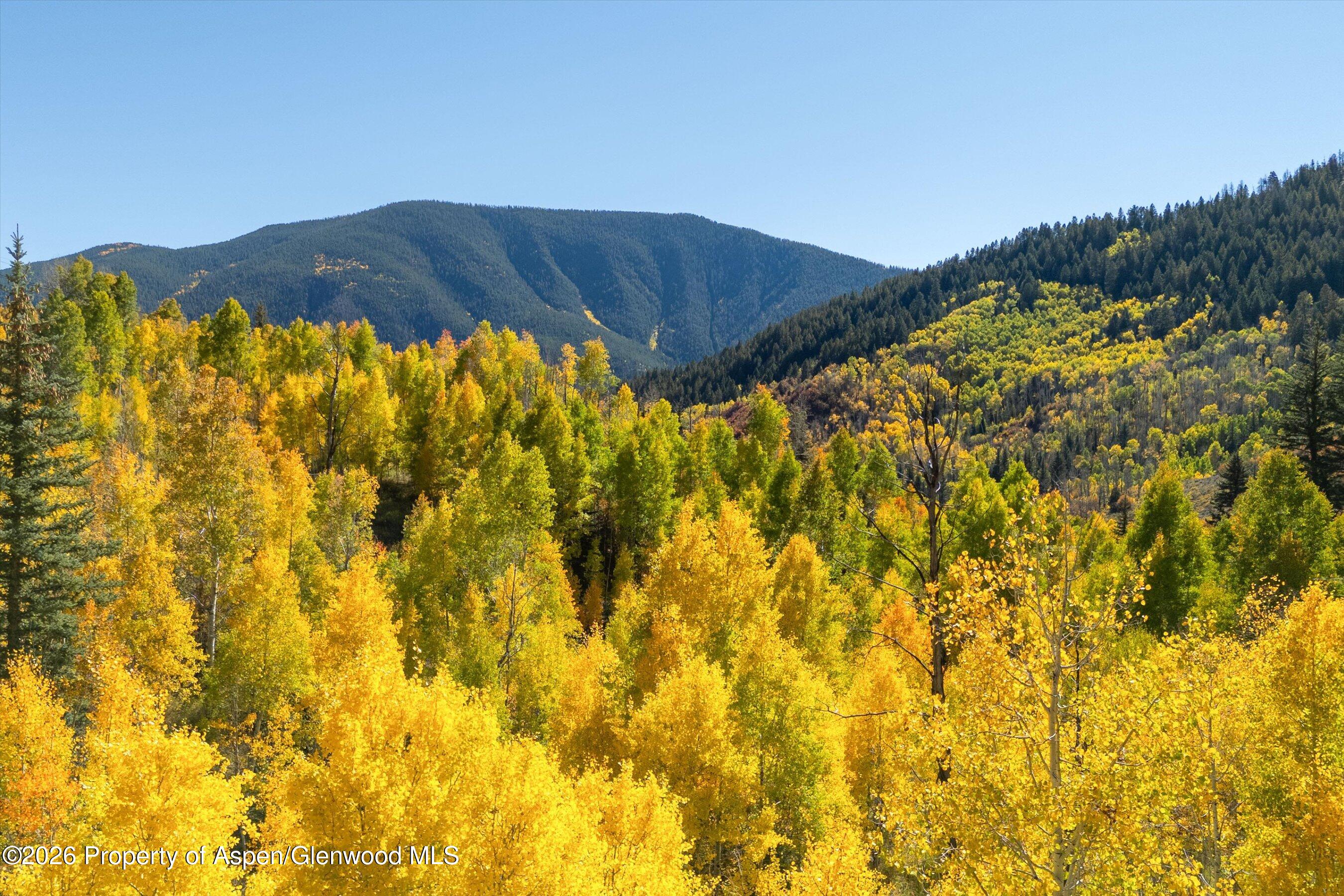 0 Frying Pan Road Basalt, CO 81621 - Photo 22 of 36 21-0FryingPanRoad_2509_0476