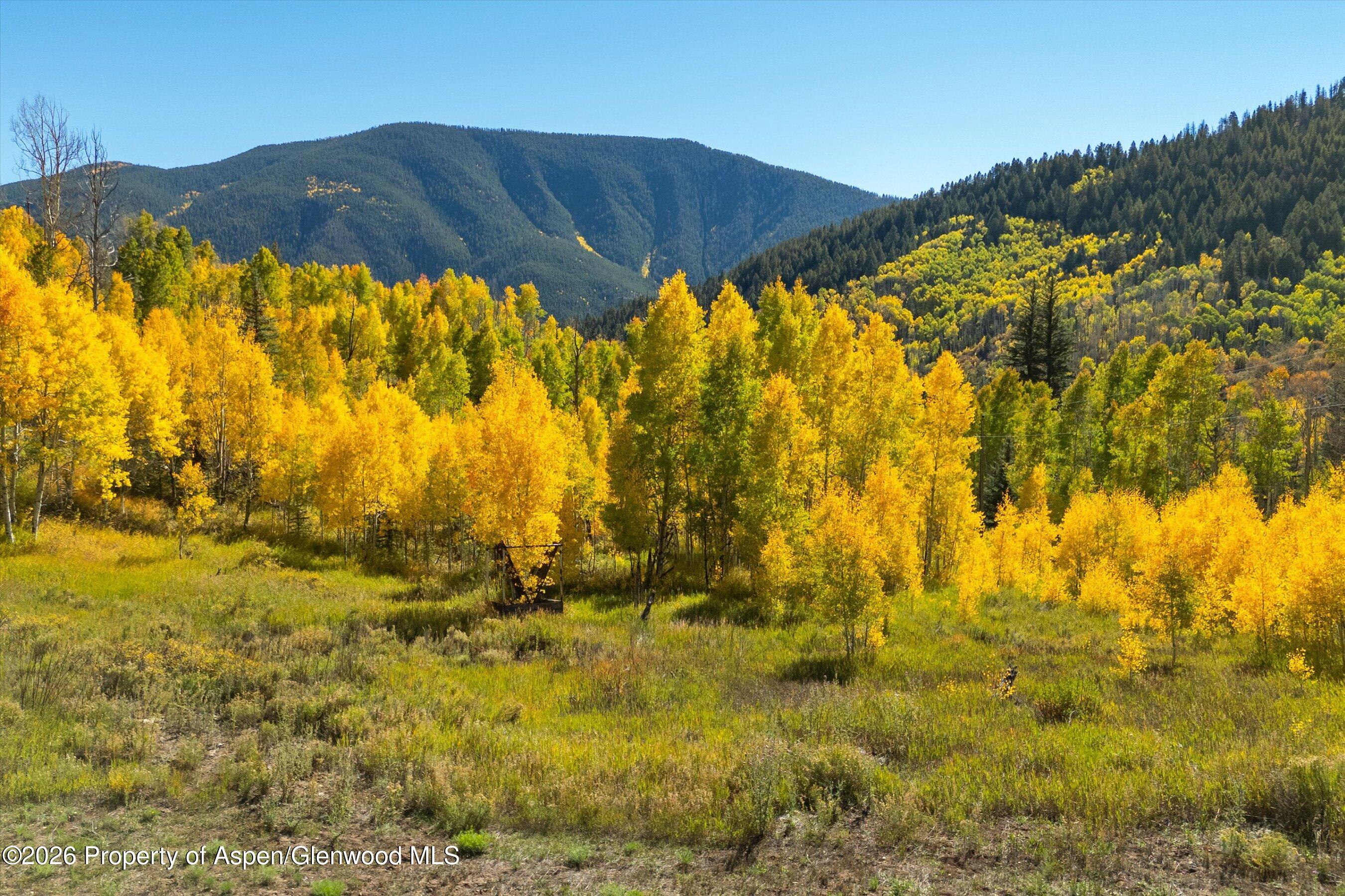 0 Frying Pan Road Basalt, CO 81621 - Photo 24 of 36 23-0FryingPanRoad_2509_0478