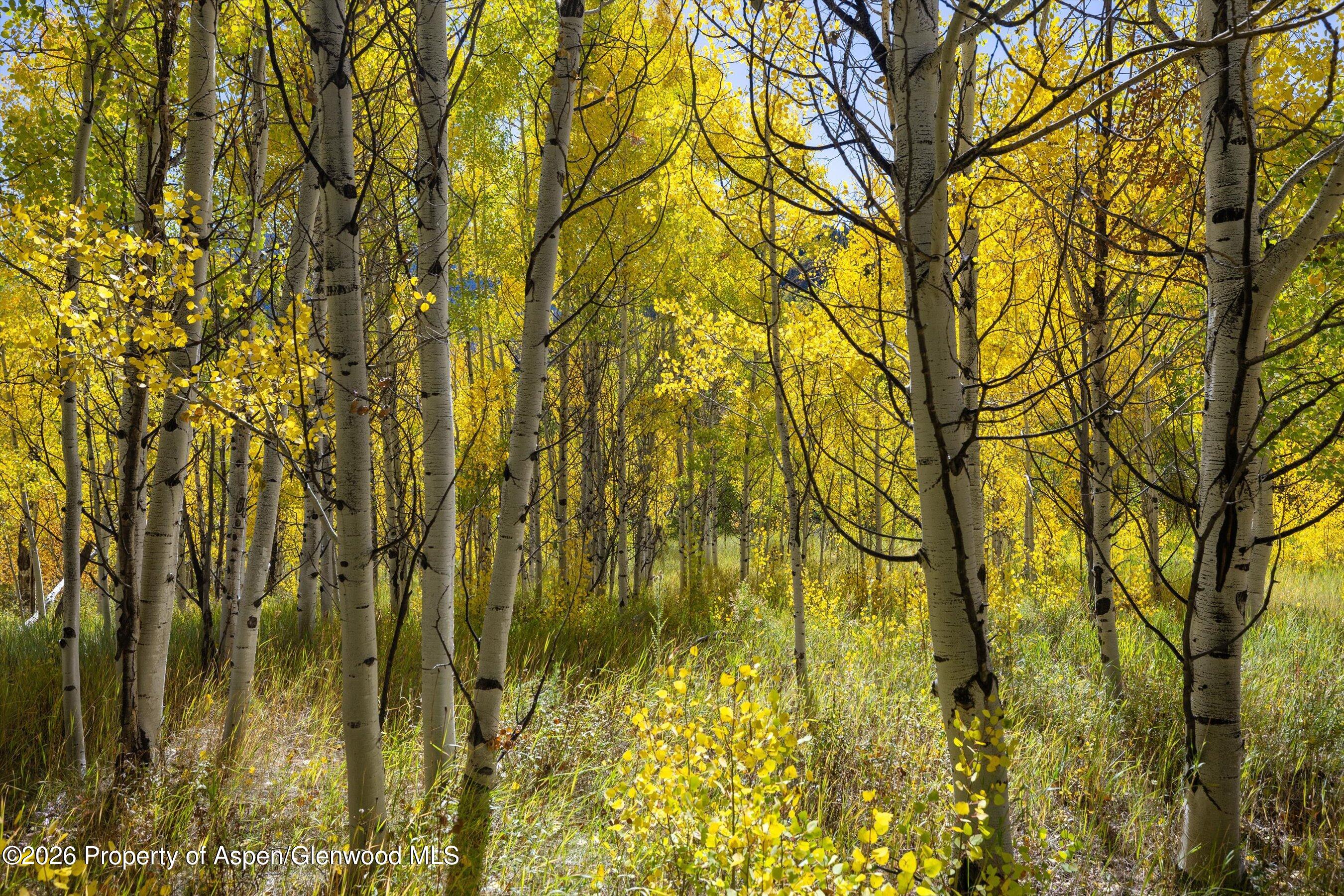 0 Frying Pan Road Basalt, CO 81621 - Photo 25 of 36 24-0FryingPanRoad_2509_0501