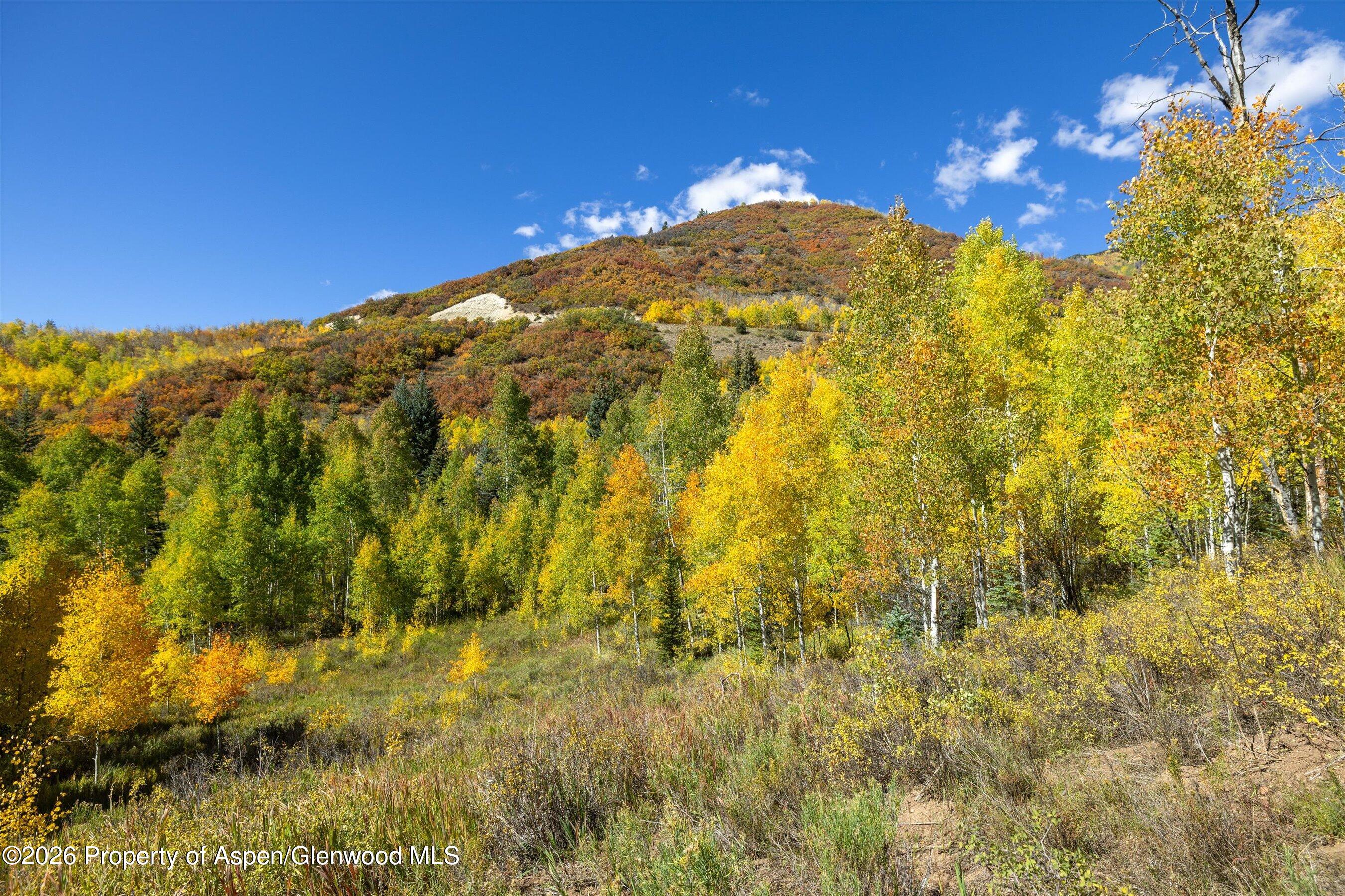 0 Frying Pan Road Basalt, CO 81621 - Photo 26 of 36 25-0FryingPanRoad_2509_0491