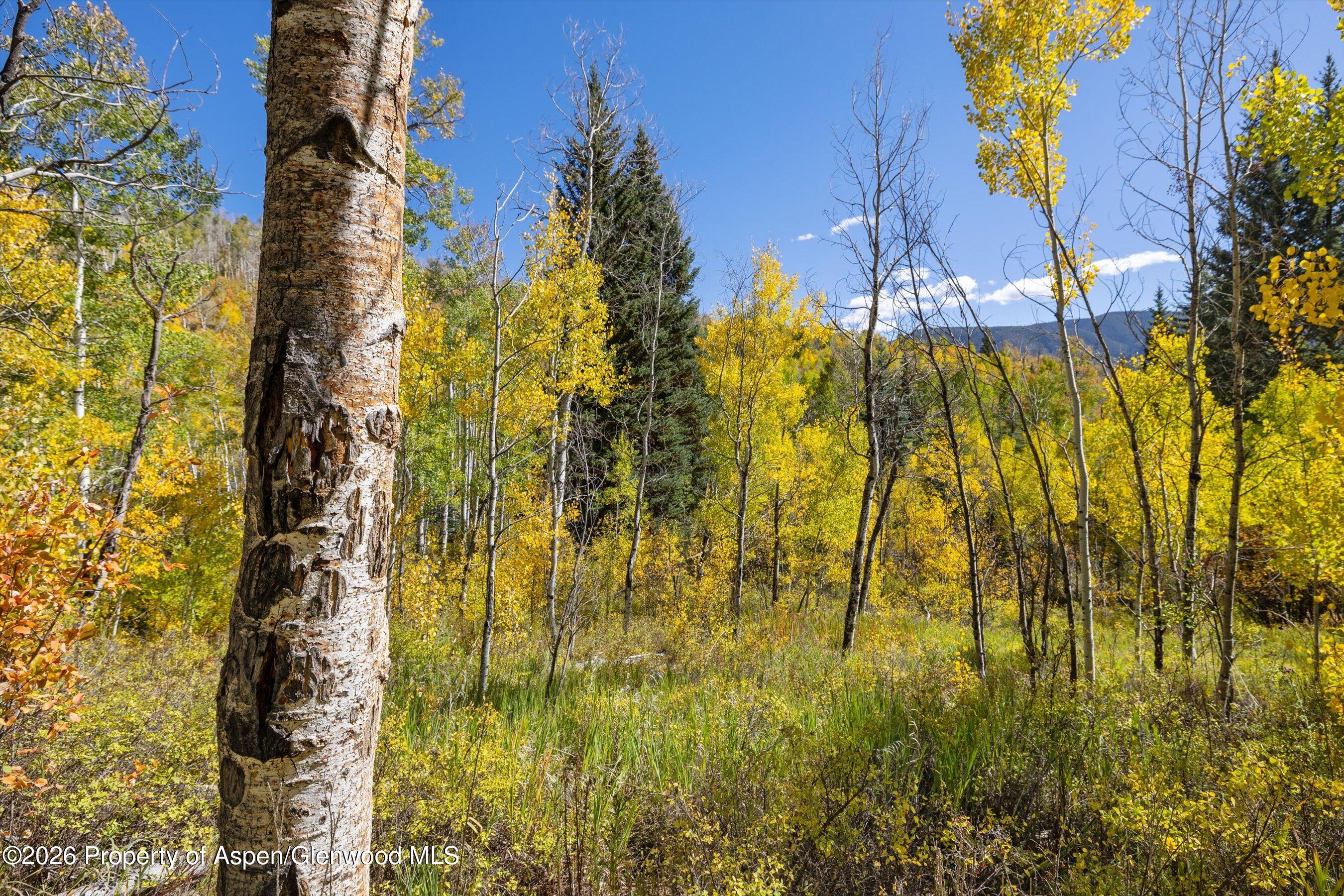 0 Frying Pan Road Basalt, CO 81621 - Photo 28 of 36 27-0FryingPanRoad_2509_0496