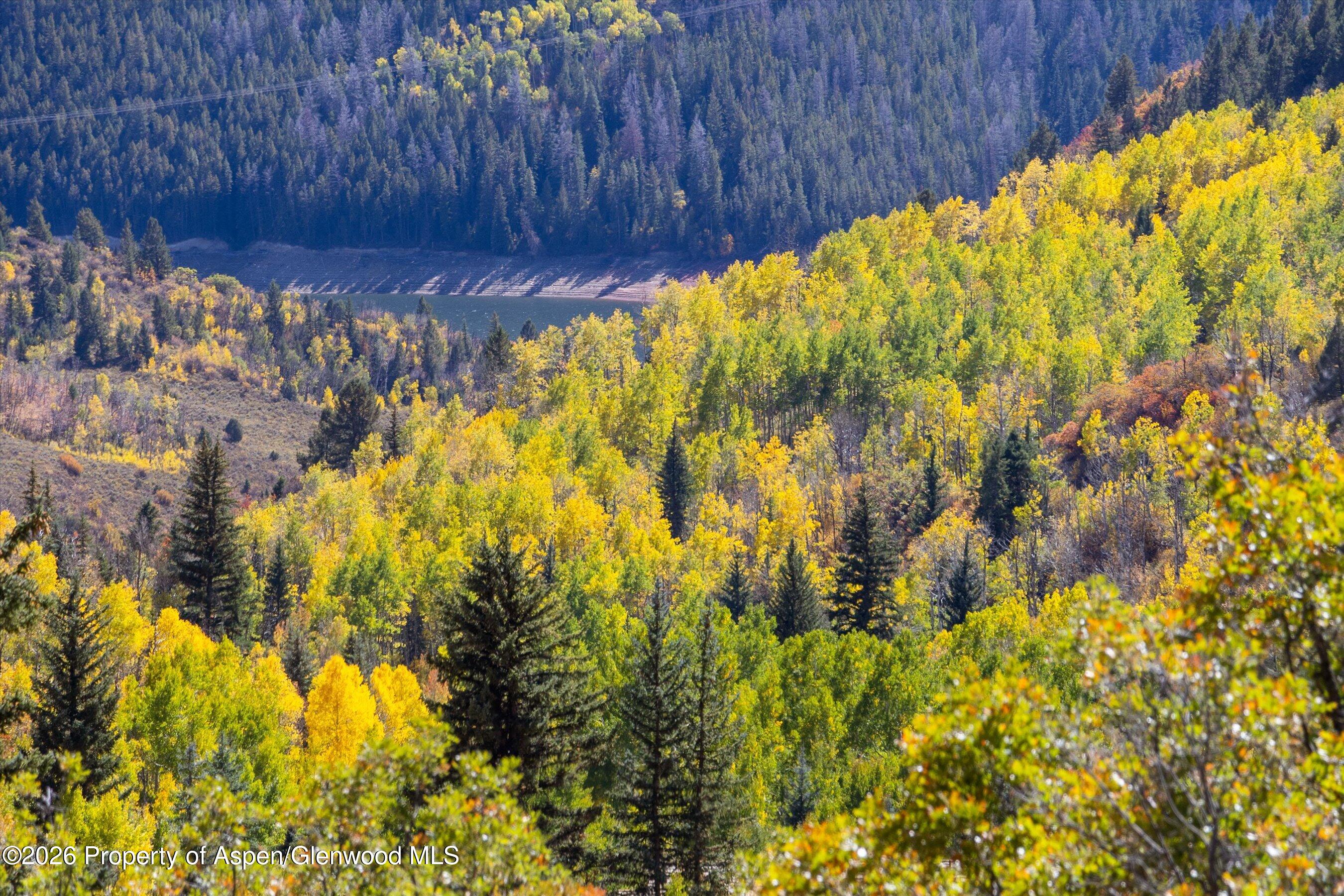 0 Frying Pan Road Basalt, CO 81621 - Photo 30 of 36 29-0FryingPanRoad_2509_0498