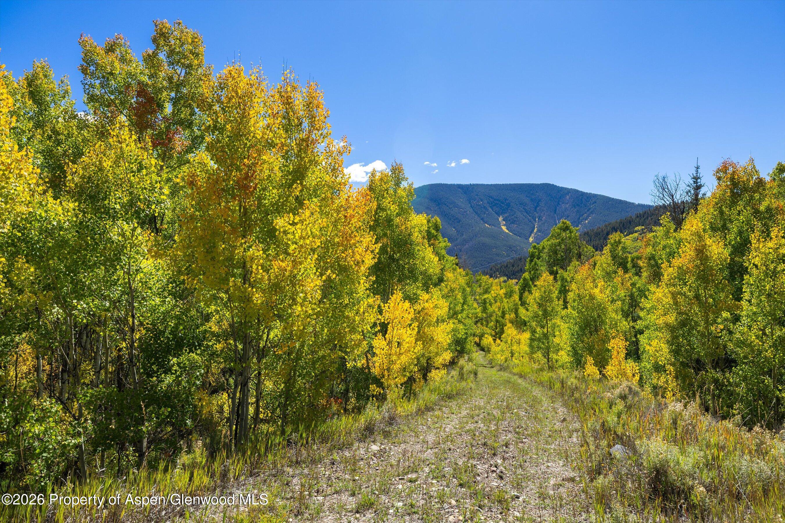 0 Frying Pan Road Basalt, CO 81621 - Photo 32 of 36 31-0FryingPanRoad_2509_0485