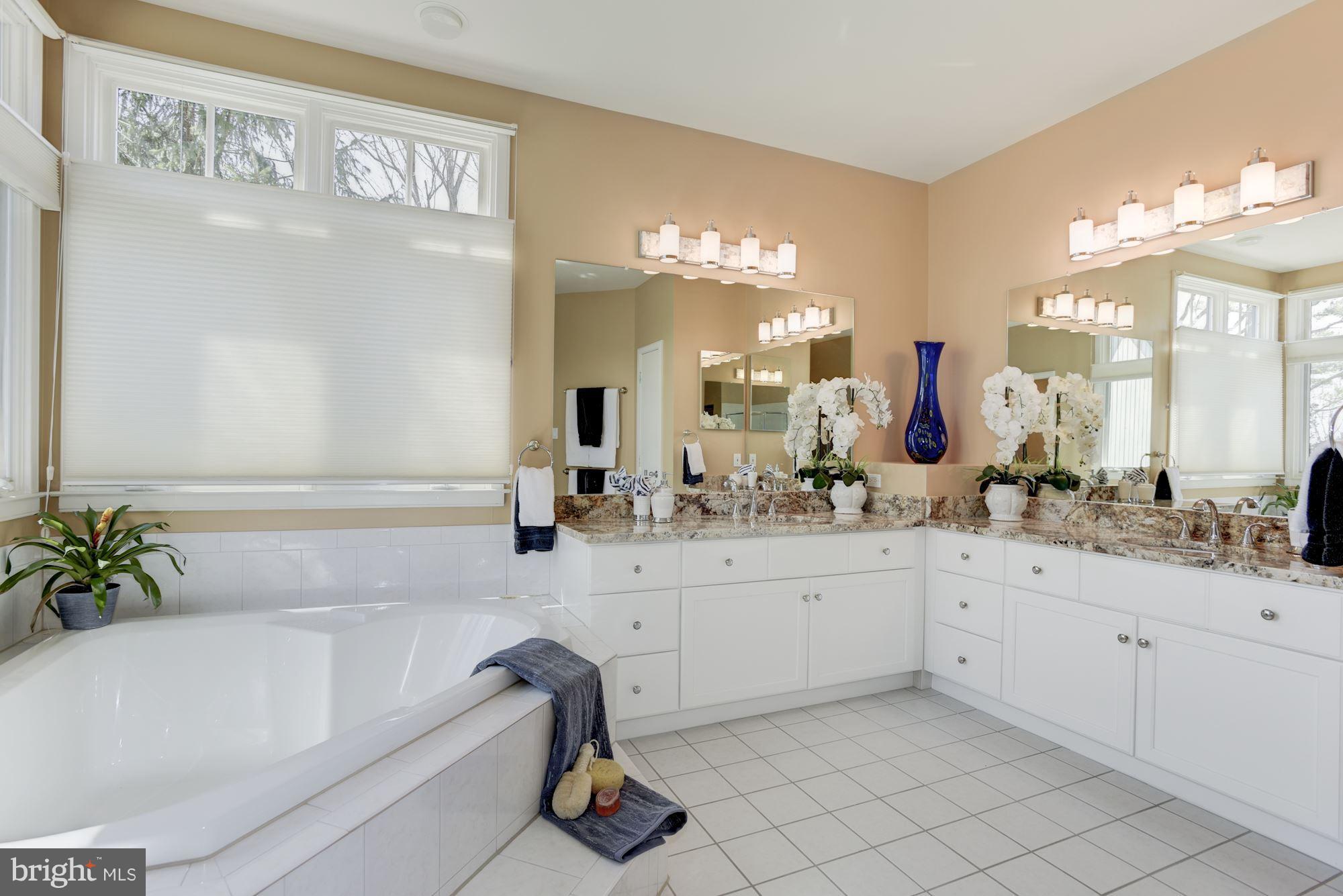 1439 Waterfront Road Reston, VA 20194 - Photo 17 of 30 Bath (Master)