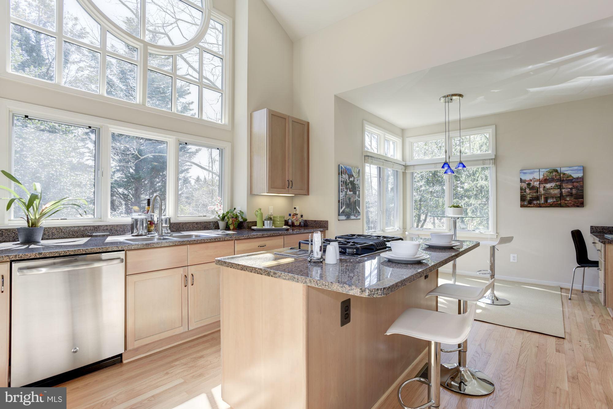 1439 Waterfront Road Reston, VA 20194 - Photo 10 of 30 Kitchen