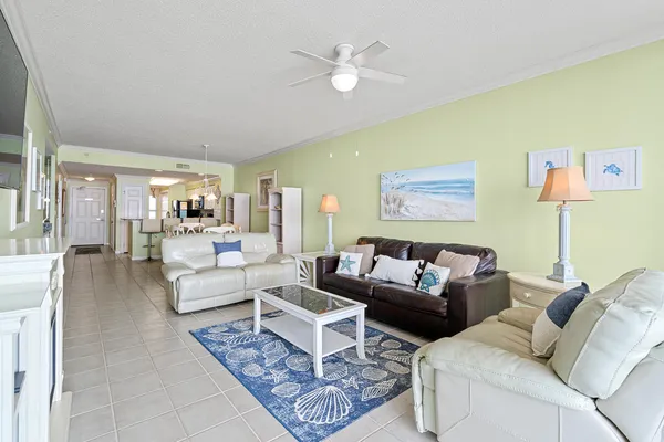 a view of a garden with a tree