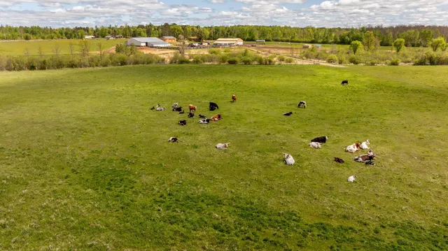 $874,900 | 36037 678th Street, Hill City, MN 55748