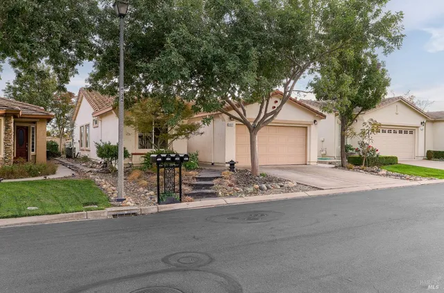 a view of a house with a tree in front of it