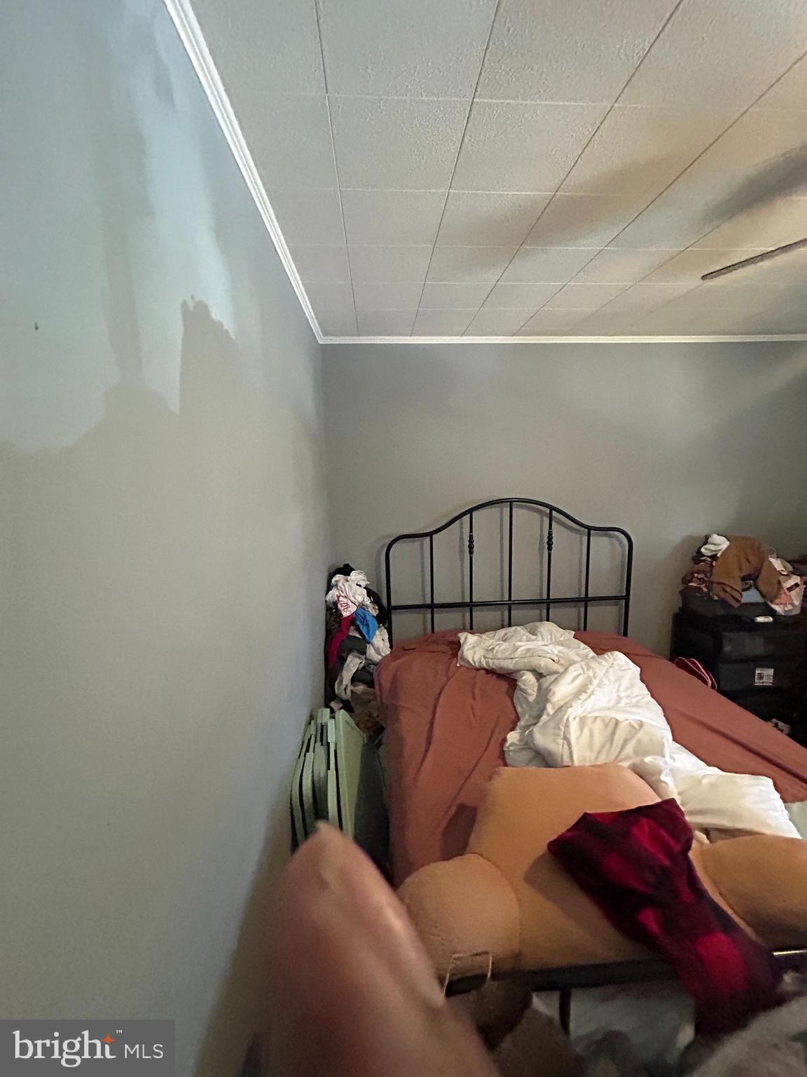 538 Snowden Road Upper Darby, PA 19082 - Photo 3 of 13