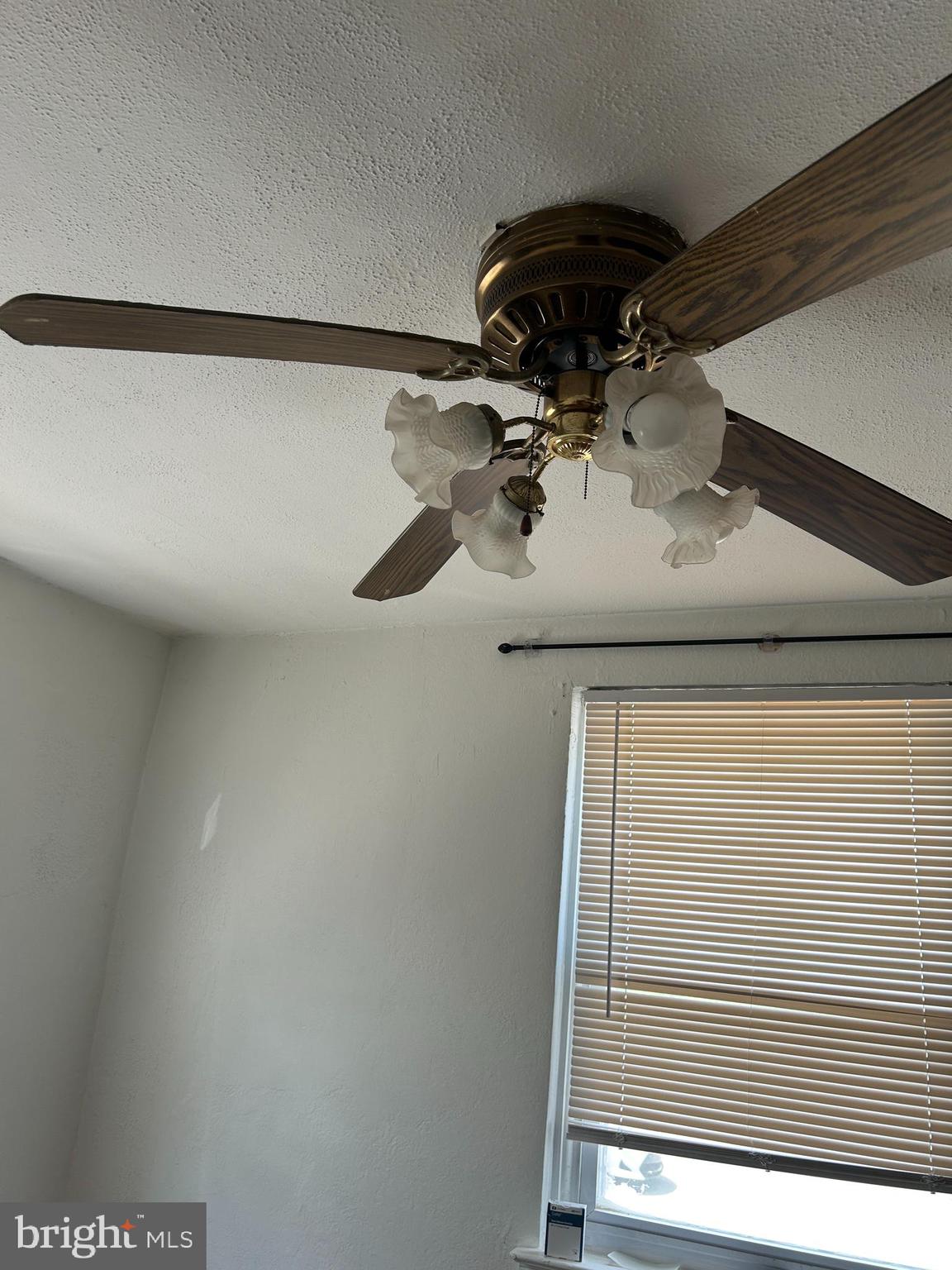 538 Snowden Road Upper Darby, PA 19082 - Photo 10 of 13