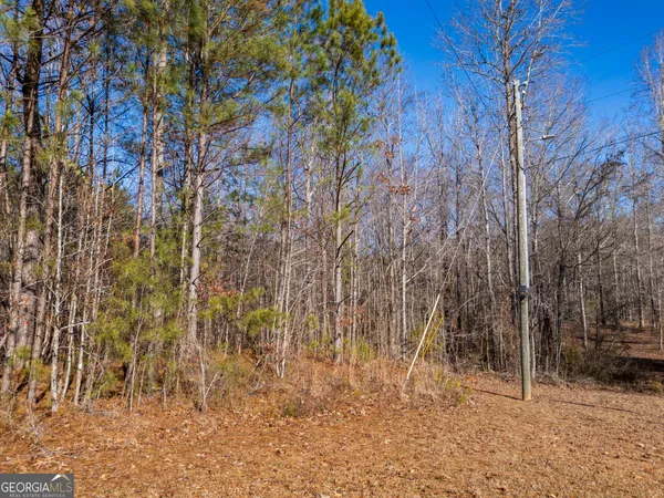$41,500 | 3.34-acres Buck Circle, Grantville, GA 30220