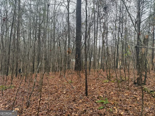 $41,500 | 3.34-acres Buck Circle, Grantville, GA 30220