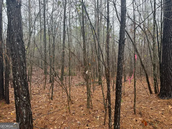 $41,500 | 3.34-acres Buck Circle, Grantville, GA 30220