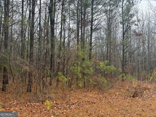 $41,500 | 3.34-acres Buck Circle, Grantville, GA 30220