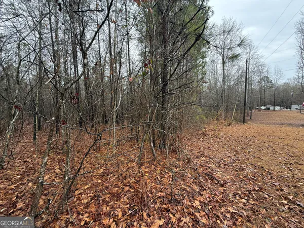 $41,500 | 3.34-acres Buck Circle, Grantville, GA 30220