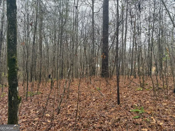 $41,500 | 3.34-acres Buck Circle, Grantville, GA 30220