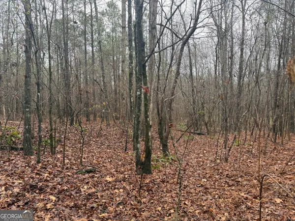 $41,500 | 3.34-acres Buck Circle, Grantville, GA 30220