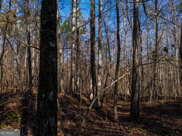 $41,500 | 3.34-acres Buck Circle, Grantville, GA 30220