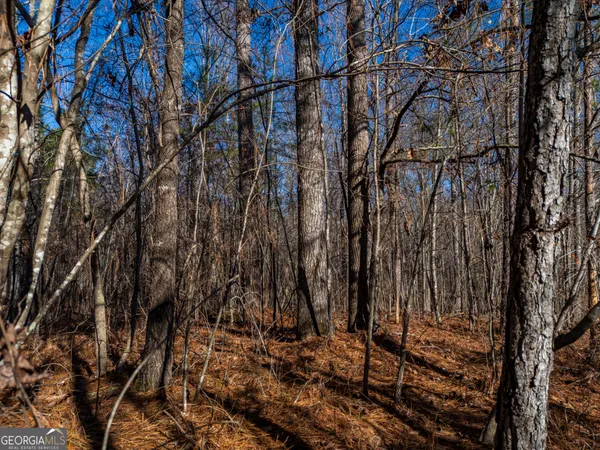 $41,500 | 3.34-acres Buck Circle, Grantville, GA 30220