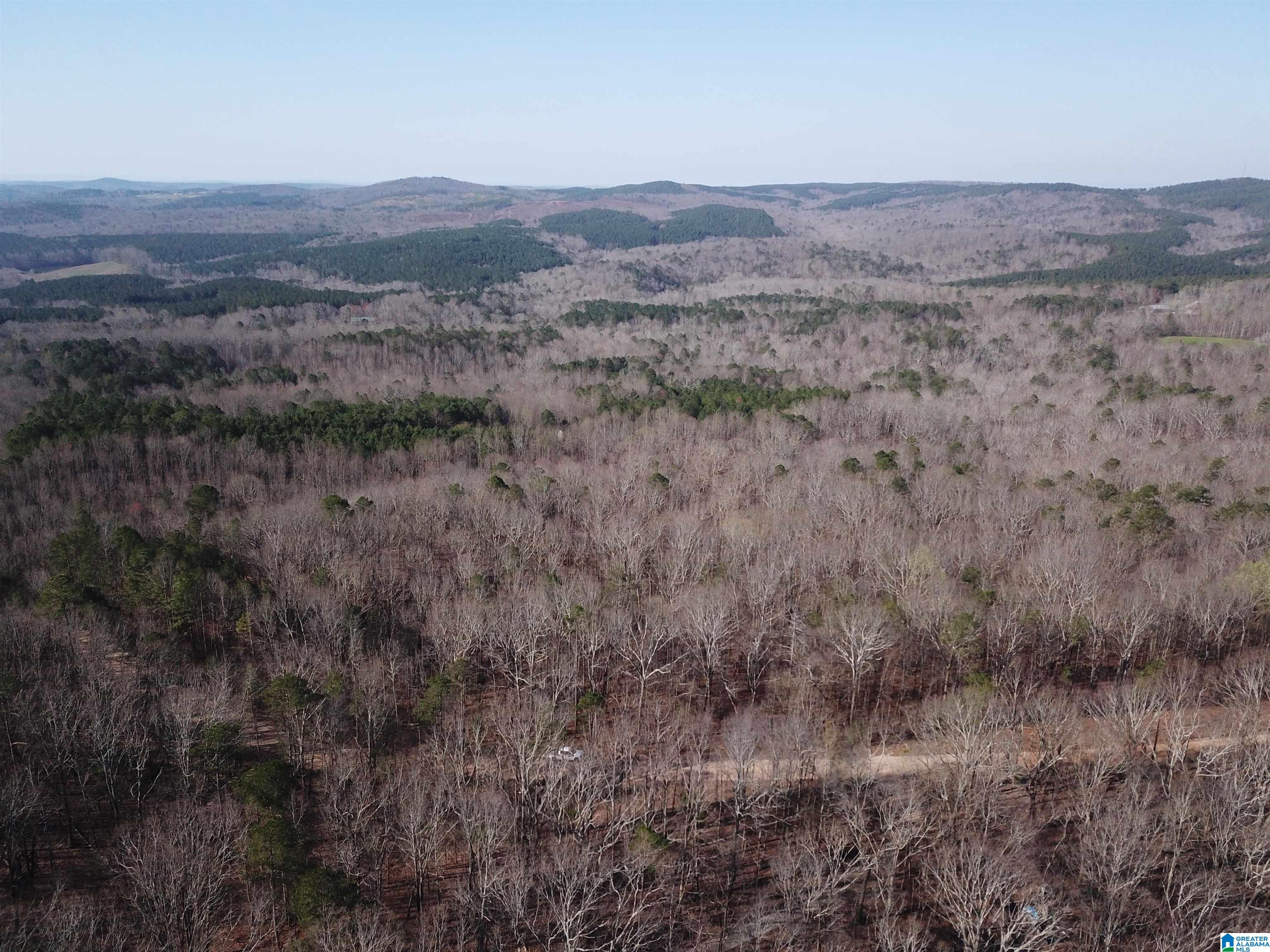 0 County Road 852, Unit 2 Ranburne, AL 36273 - Photo 16 of 19