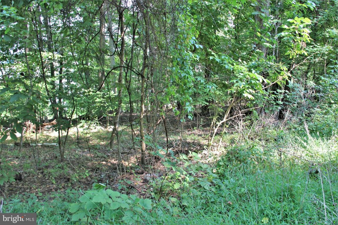 0 Potts Hill Road Etters, PA 17319 - Photo 3 of 11