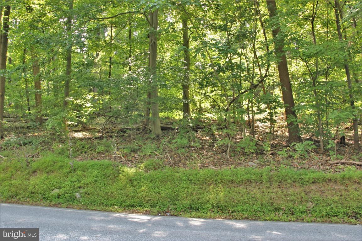 0 Potts Hill Road Etters, PA 17319 - Photo 4 of 11