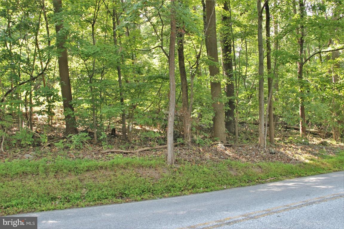 0 Potts Hill Road Etters, PA 17319 - Photo 5 of 11