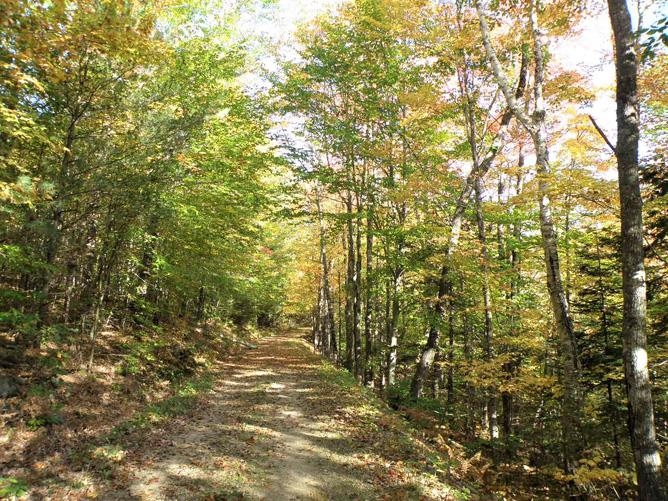 0 Eastern Corner Road Campton, NH 03223 - Photo 28 of 37