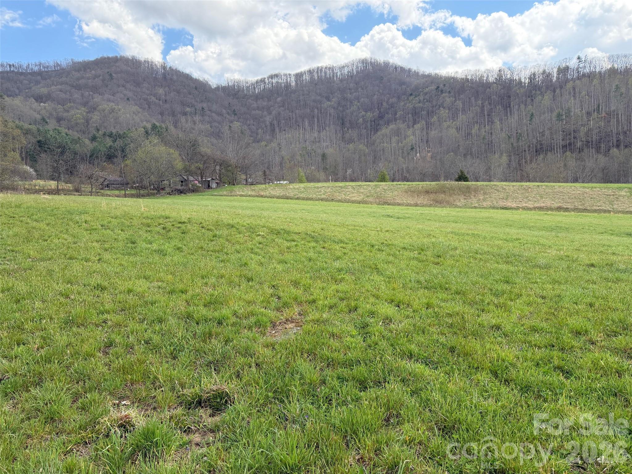 330 Tilson Branch Road Marshall, NC 28753 - Photo 7 of 11